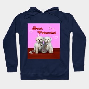 Best Friends Hoodie